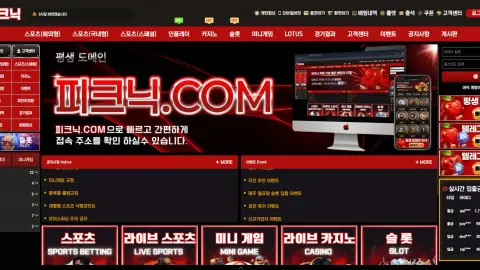 피크닉 원본 사이트 관측 화면