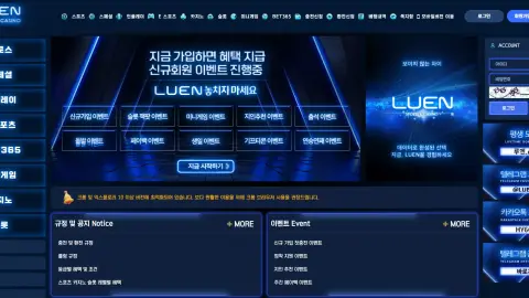 루엔 (LEUN) 원본 사이트 관측 화면